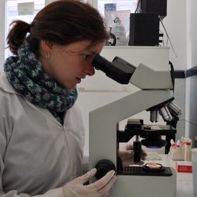 A glimpse of a Projects Abroad intern on her medical work experience in Peru utlising a microscope in the laboratory. Female medical intern in Peru getting laboratory experience while on her medical placement.